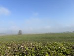 260322_092656_CK.jpeg