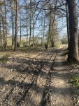 260322_102430_CK.jpeg