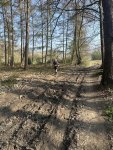 260322_102431_CK.jpeg