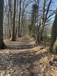 260322_102608_CK.jpeg
