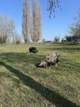 260322_114838_CK.jpeg