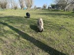 260322_114846_CK.jpeg