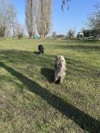 260322_114850_CK.jpeg