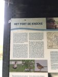 221119_110723_IMG_1076_CK.jpeg