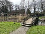 240310_133504_IMG_9417_CK.jpeg