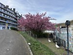 240407_090701_IMG_9836_CK.jpeg