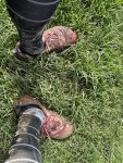 240407_113116_IMG_9849_CK.jpeg