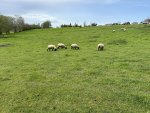240407_135141_IMG_9875_CK.jpeg