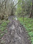 240407_151304_IMG_9877_CK.jpeg