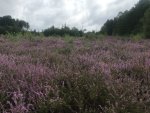210828_101621_IMG_3620_CK.jpeg