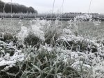 221218_120740_IMG_1493_CK.jpeg