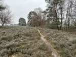230129_112646_IMG_2150_CK.jpeg
