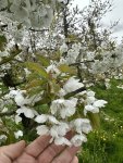 230423_111806_IMG_4696_CK.jpeg