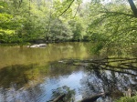 260502_110004_MP.jpg