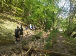 260502_110029_MP.jpg