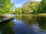 260502_110318_BV.jpg