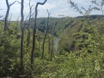 260502_115247_MP.jpg
