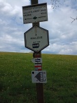 260502_123815_JB.jpg
