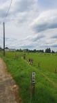 260502_144443_SV.jpg
