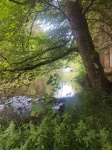 260531_113711_MP.jpg