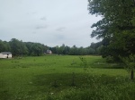 260531_130337_MP.jpg