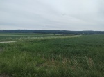 260531_132129_MP.jpg