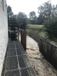210717_094554_IMG_2798_CK.jpeg