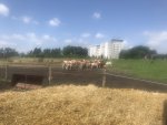 210717_125232_IMG_2853_CK.jpeg