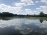 210717_142938_IMG_2867_CK.jpeg