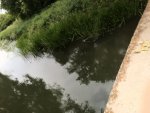 220604_104151_IMG_7765_CK.jpeg