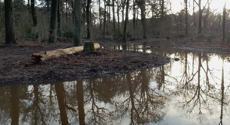 GR565/3 – Sniederspad