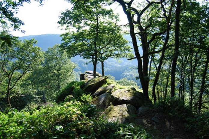 GR126/8 – Schelde – Semois